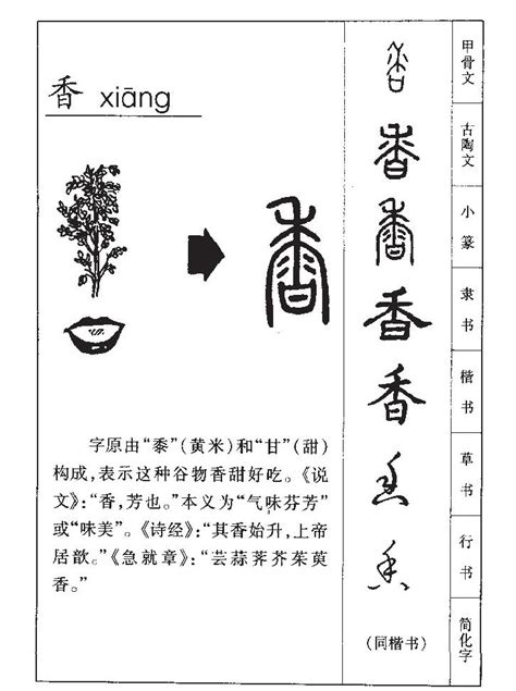 香字五行|香